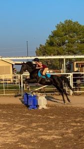 blog-12-06-21-rylie3_small