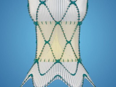 Artist rendering of Harmony mesh