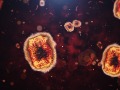 Closeup of monkeypox cells