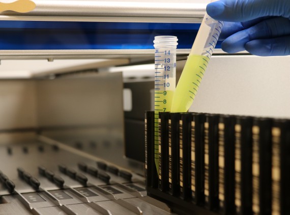 lab worker putting vials in for research