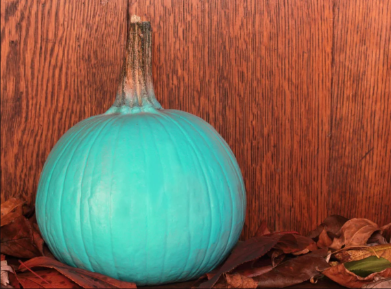 Teal pumpkin