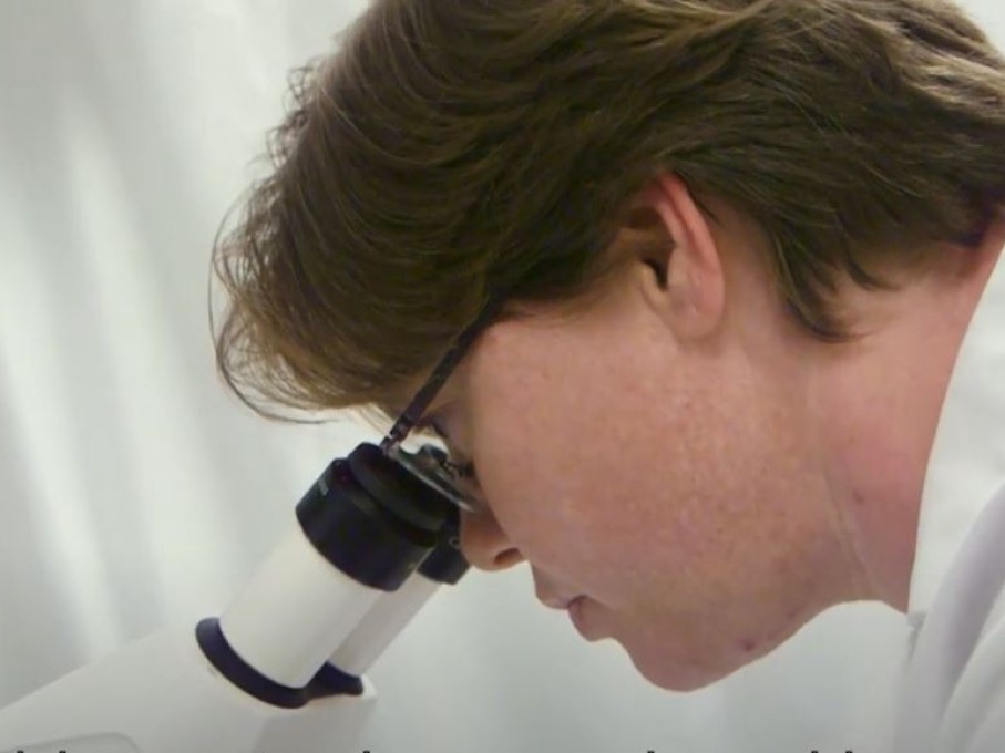 Lab worker examining samples